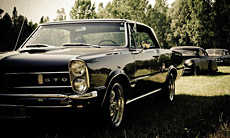 Pontiac Gto Bj 1965